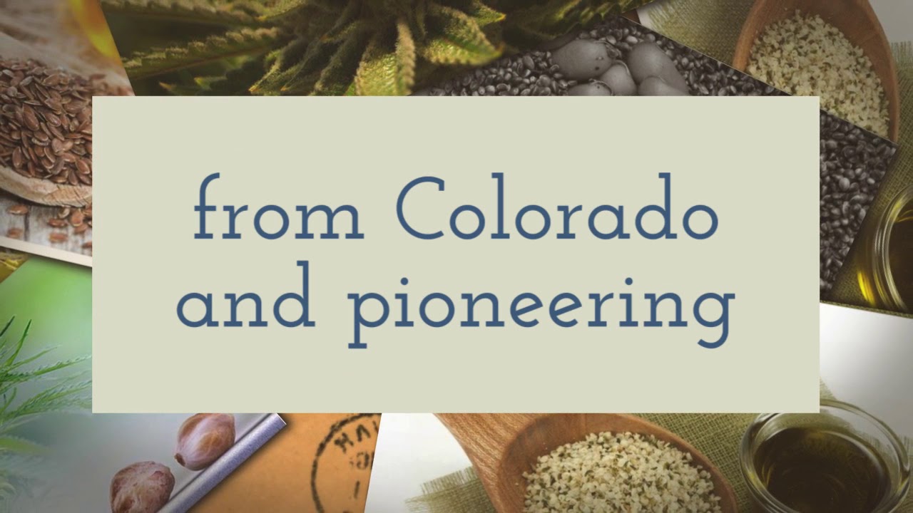 CBD Hemp Seeds and Hemp Clones