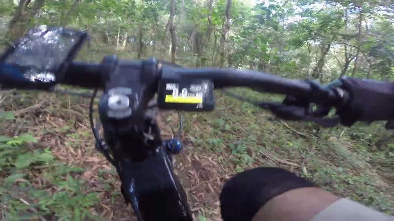 Trilha 22-02-2026 Parte 1