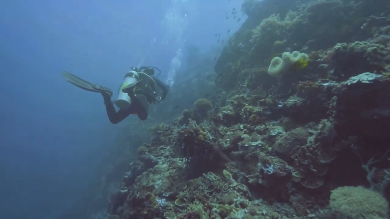 The Engineering Wonders Of The Deep: Underwater Marvels