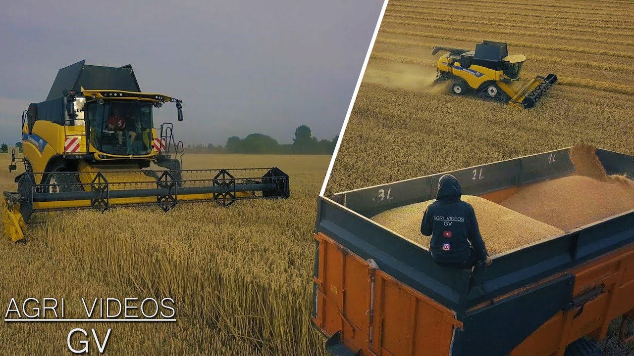 Harvest 2019 - New Holland CX 8.80 | New Holland T7.290 2x | Harvesting Wheat | 4K