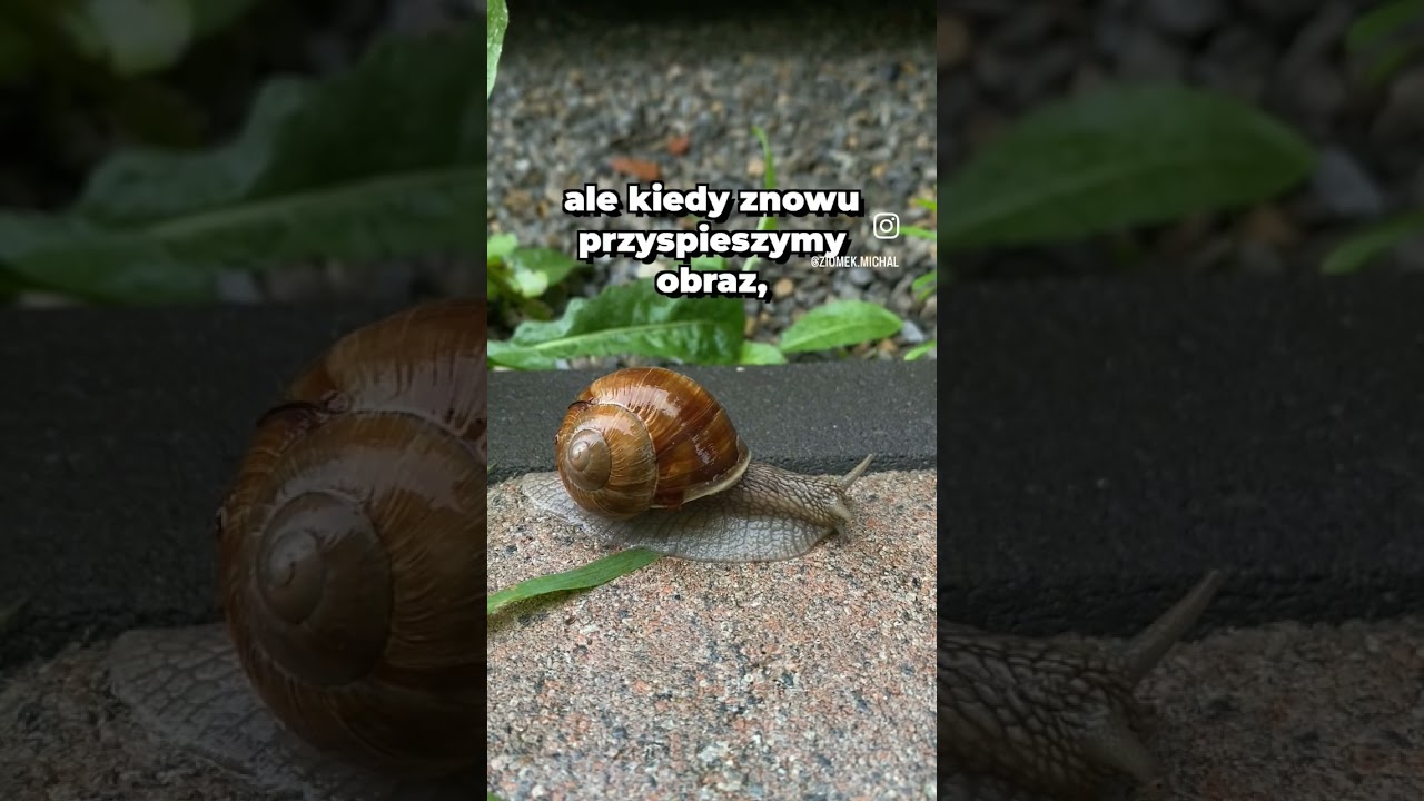Masz wrażenie, że stoisz w miejscu? #inspiracja #cel #motywacjadodziałania