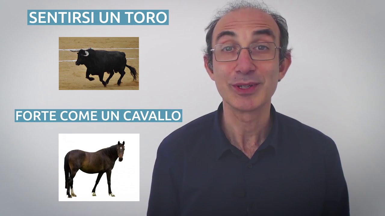 Uomini e animali | Italiano in pratica