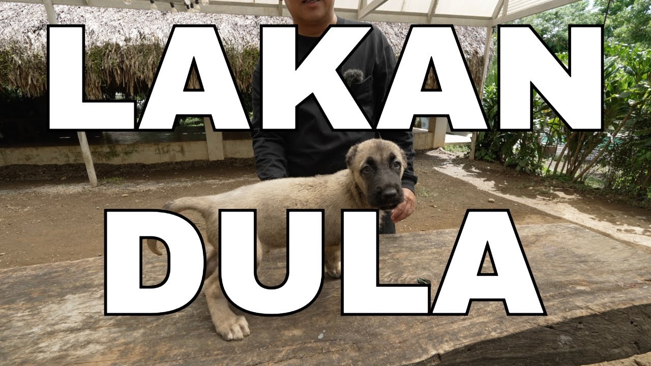 LAKANDULA