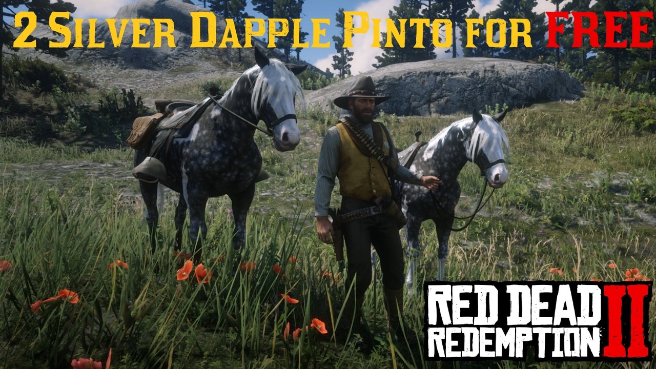 I Found a SECOND Way to Get the Silver Dapple Pinto Missouri Fox Trotter for free as Arthur #rdr2