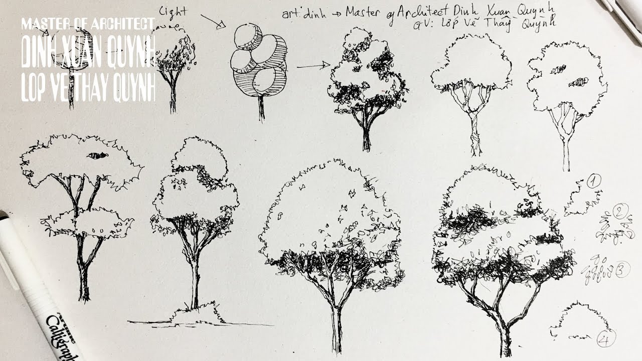 Pen & Ink drawing tutorials Tree sketch drawing for architecture daily sketches