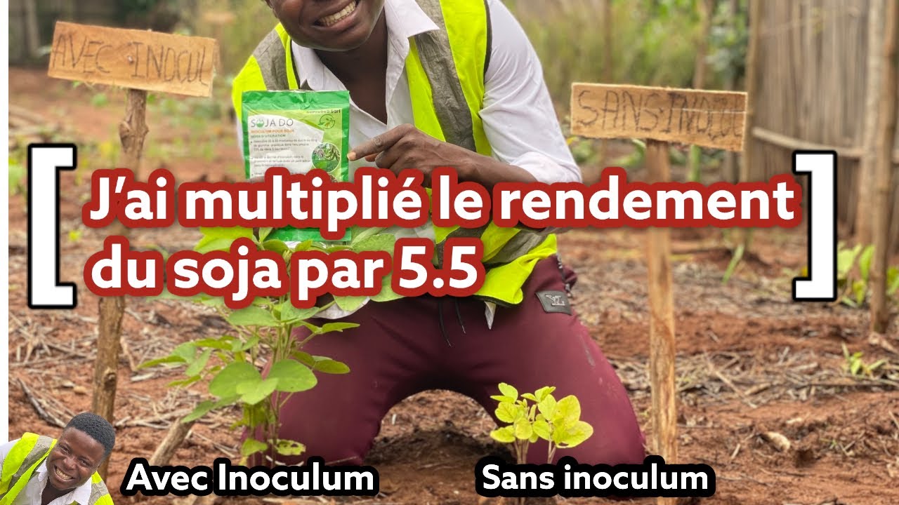 J’ai multiplié le rendement du soja par 5,5.