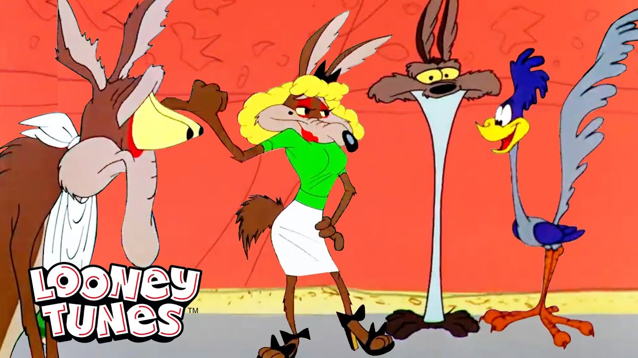 20 minuti in cui Wile E. Coyote è un disastro | Looney Tunes | 