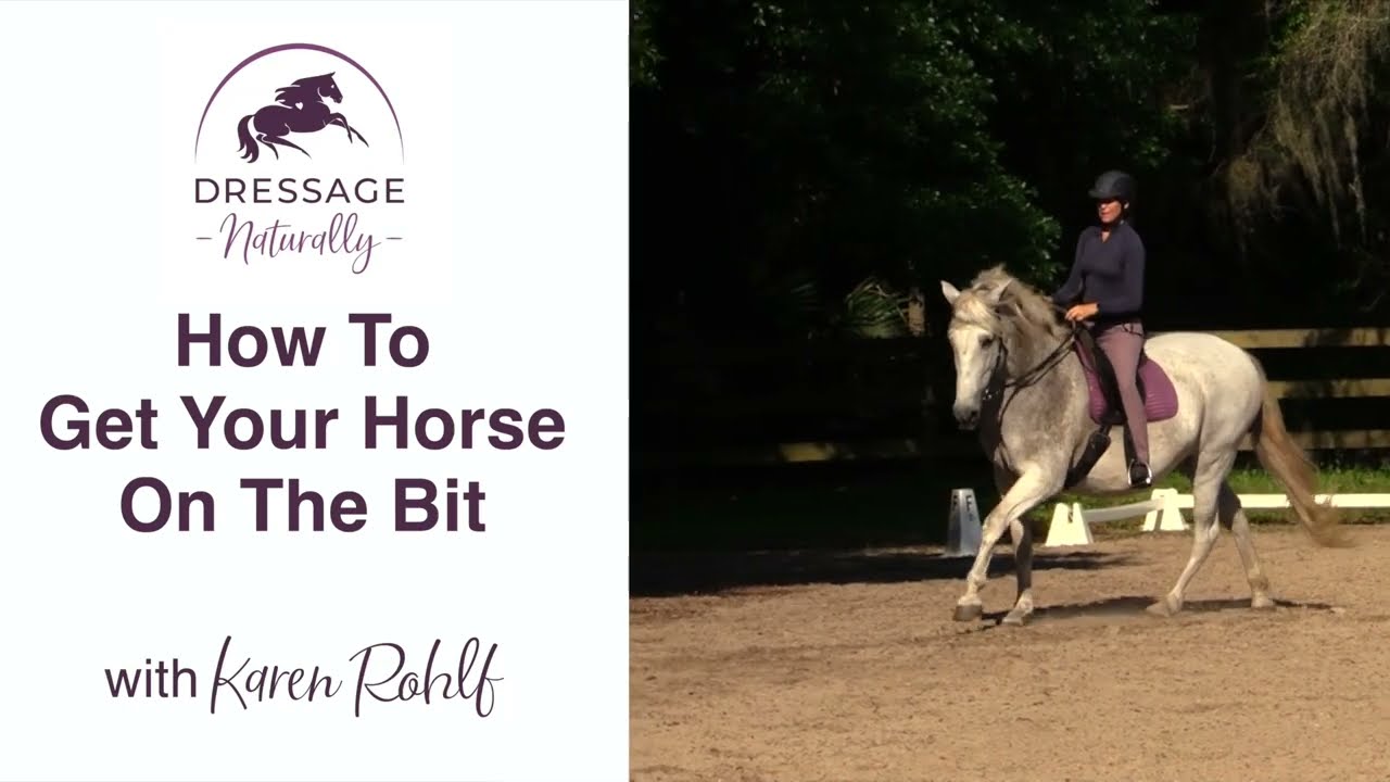 How To Get Your Horse On The Bit