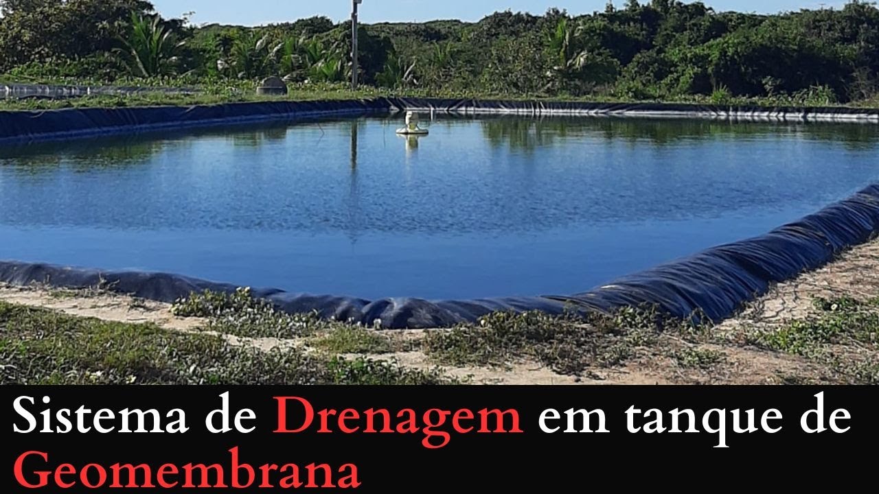 PISCICULTURA 497: COMO É O SISTEMA DE DRENAGEM EM TANQUES DE GEOMEMBRANA?
