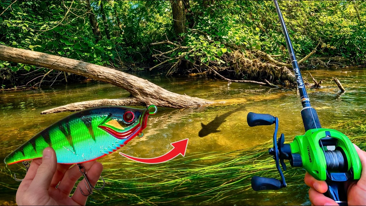 50h de p&ecirc;che en rivi&egrave;re pour ce brochet record 110+ !!
