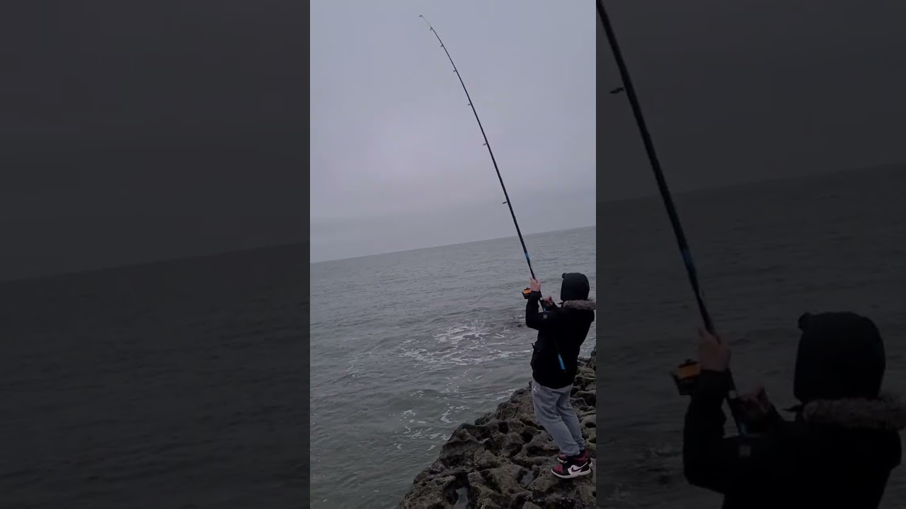 Newton point south wakes low tide sesh hounds ment to be about