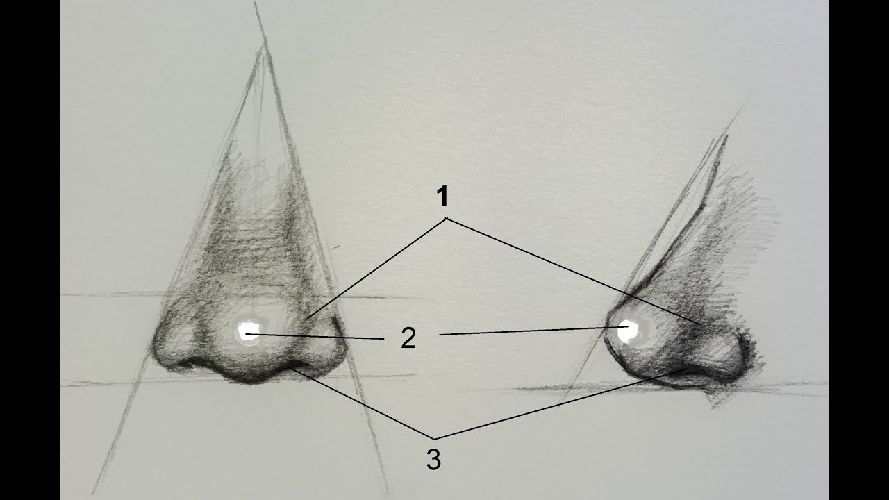 How to draw nose - كيفية رسم وتظليل الأنف