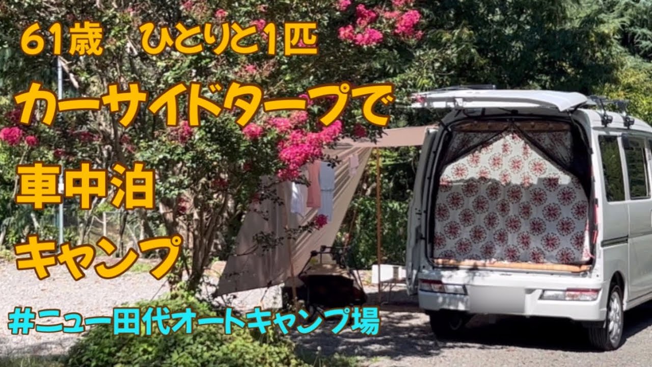 【カーサイドタープで車中泊】61歳ひとりと1匹車中泊キャンプ