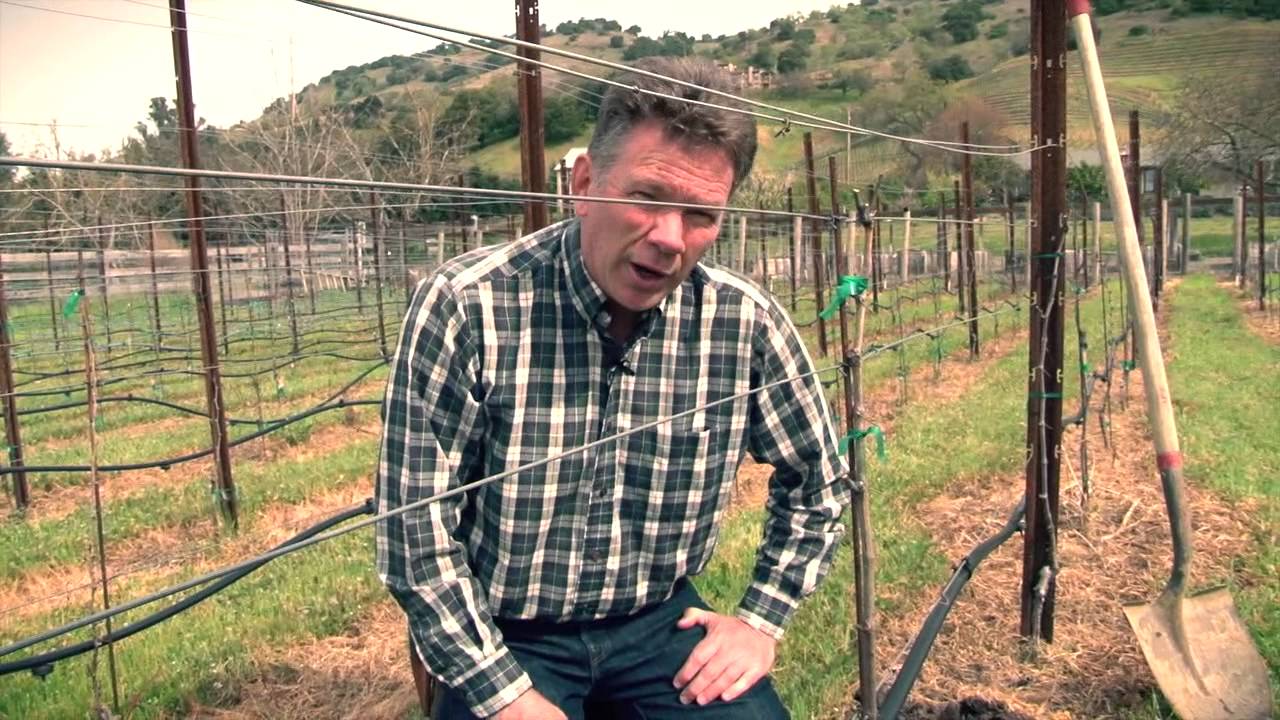 One Acre Napa Valley - Yountville AVA Episode 11 - Spring 2013 Training