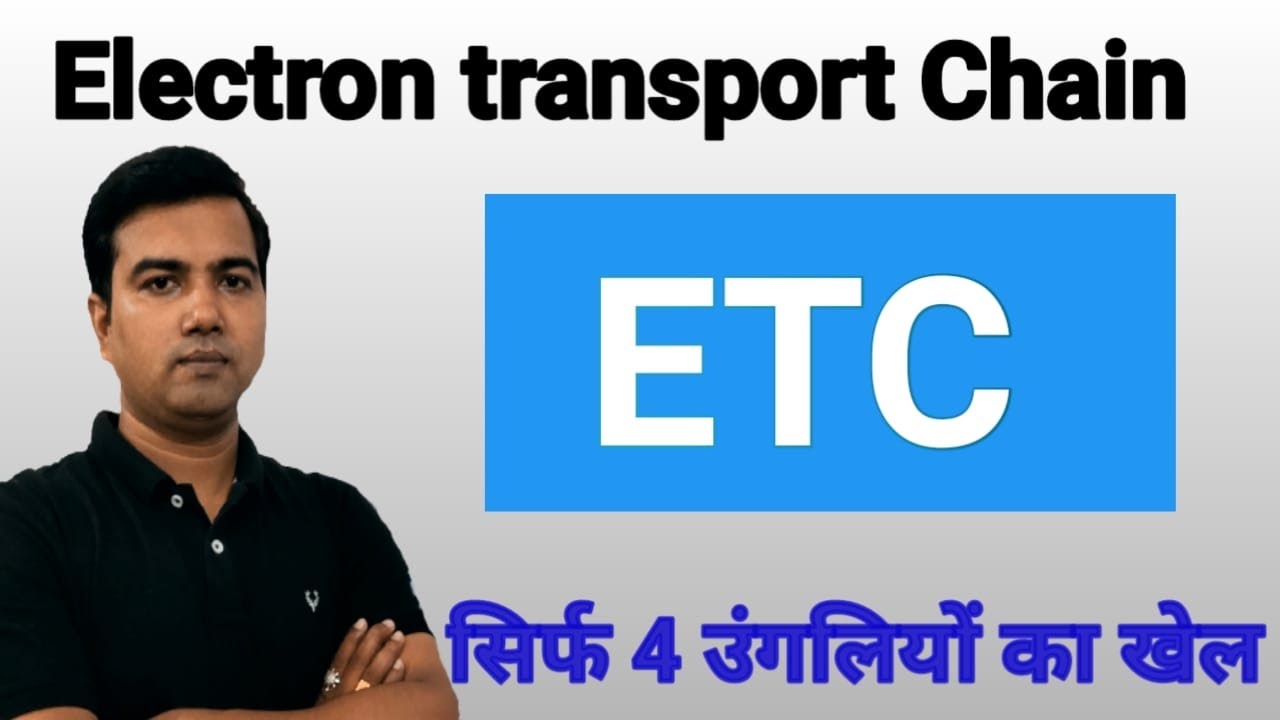 Electron Transport chain (ETC)