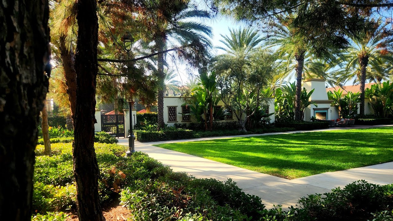 What cognitive functions are a play here? Problem solving vs. opportunistic follow-up