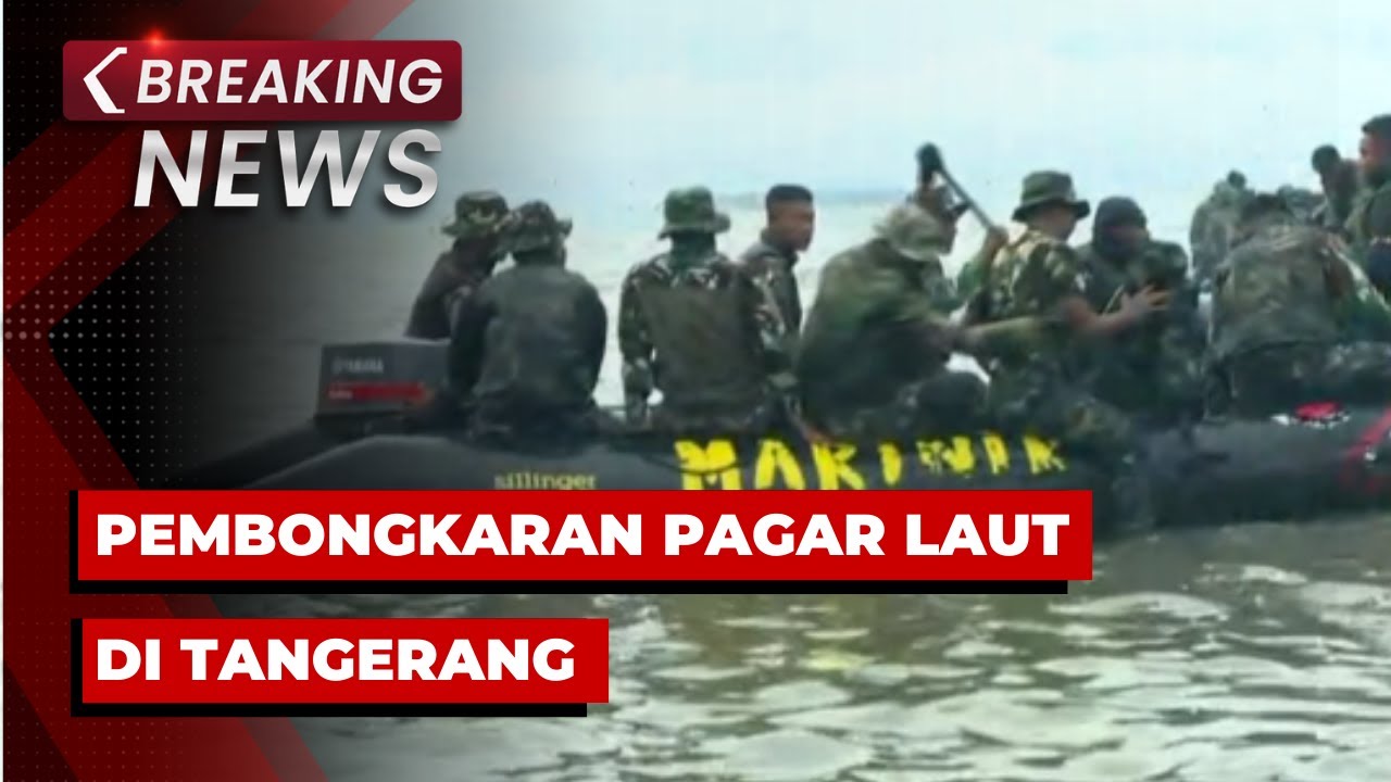 BREAKING NEWS - Pembongkaran Pagar Laut di Tangerang