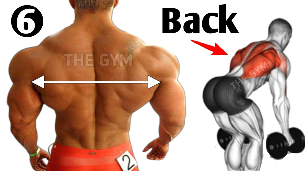 Back Workout At Gym ( 6 Effective Exercises )