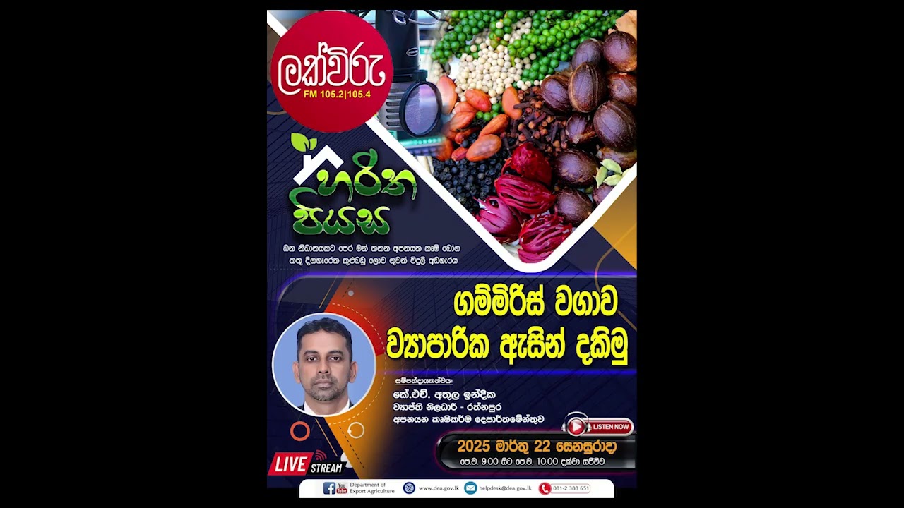 හරිත පියස - ගම්මිරිස් වගාව ව්‍යාපාරික ඇසින් දකිමු