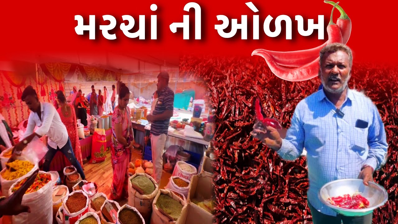 સીઝનમાં કયું મરચું 🌶️લેવાય મરચાંની ઓળખ આપી || જુઓ પુરો વિડિયો // Raj Gohil Vlogs