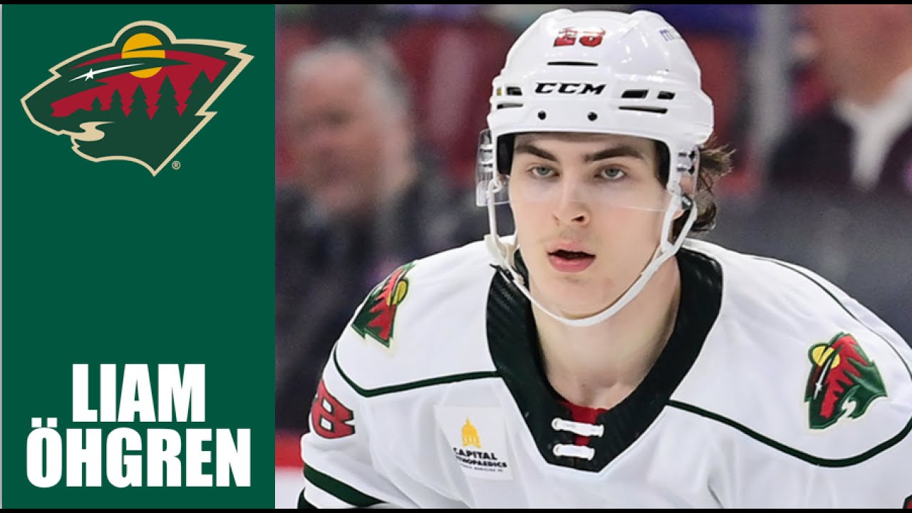 Liam Öhgren | 2024-25 Highlights