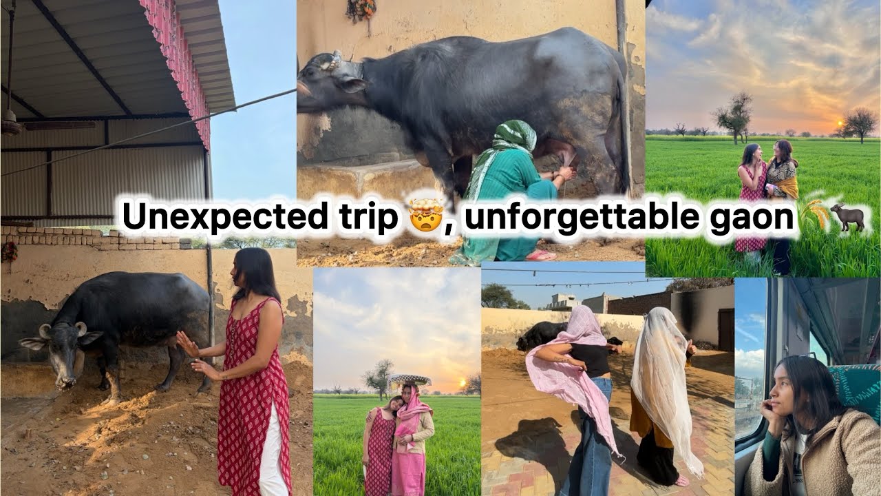Guys this is your sign to visit a village 🌾😍 #villagelife #gaonkilife #volg #desivlog #haryana  