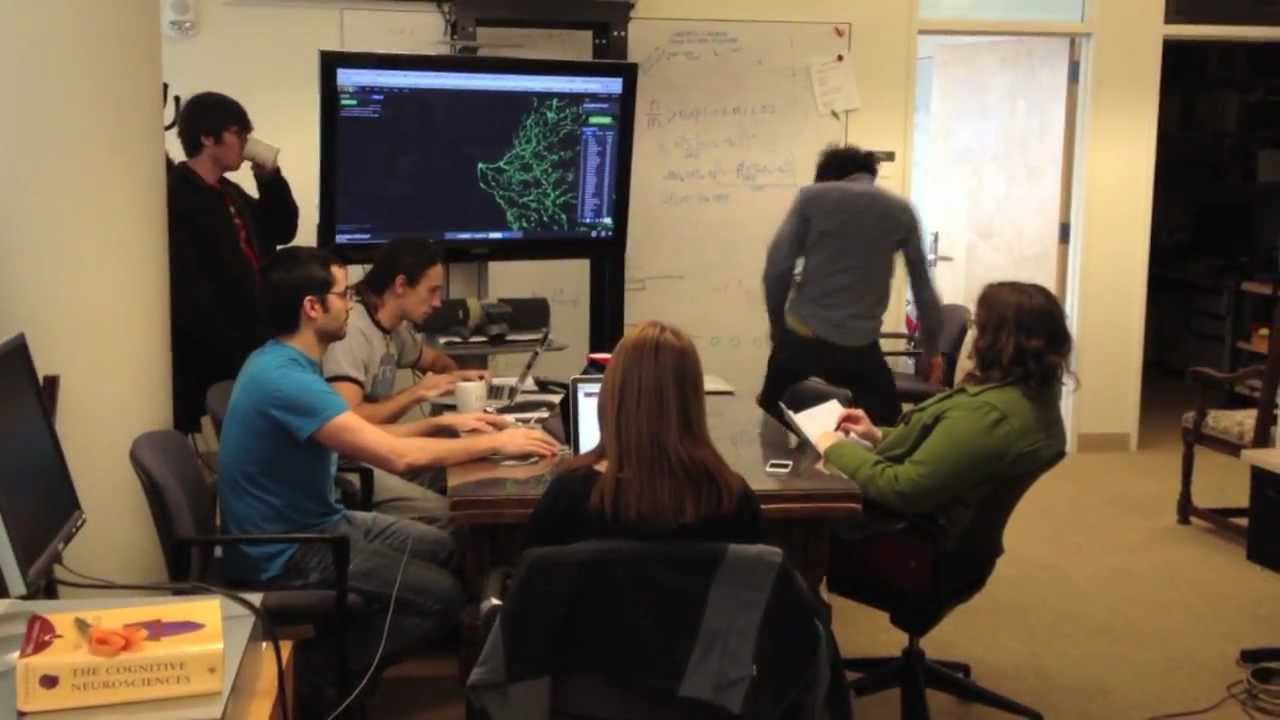 MIT Neuroscience Harlem Shake