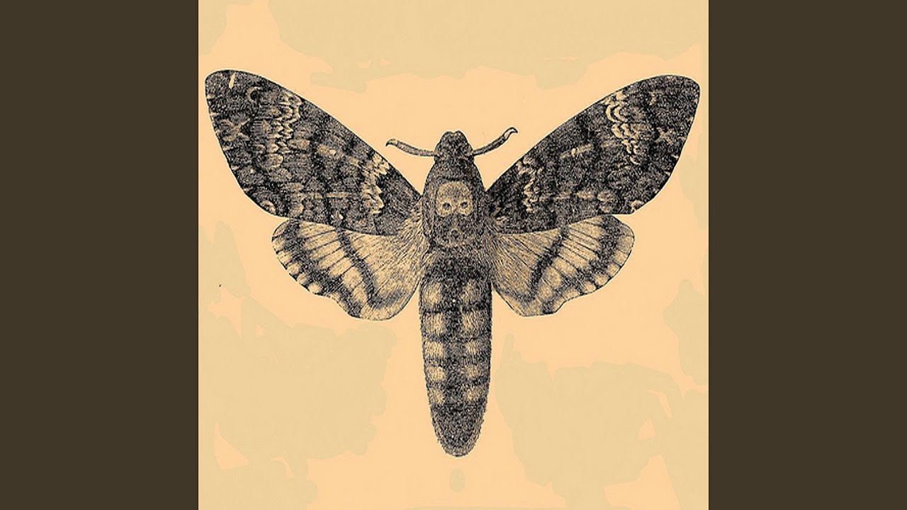 I Have Moved into the Shadow