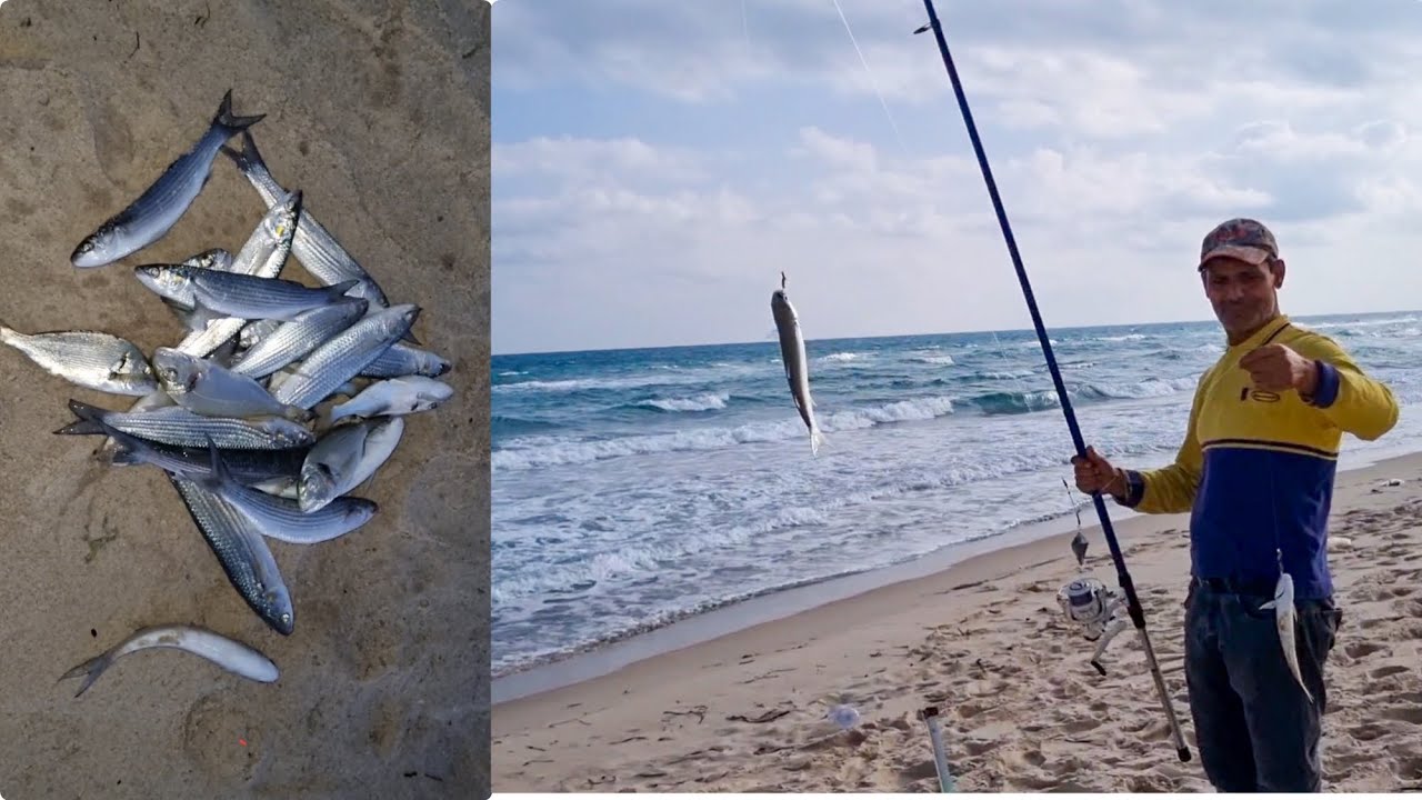 Pêche sportive aux bord de mer en tunisie-Tunisia's Coastal Fishing Adventure -