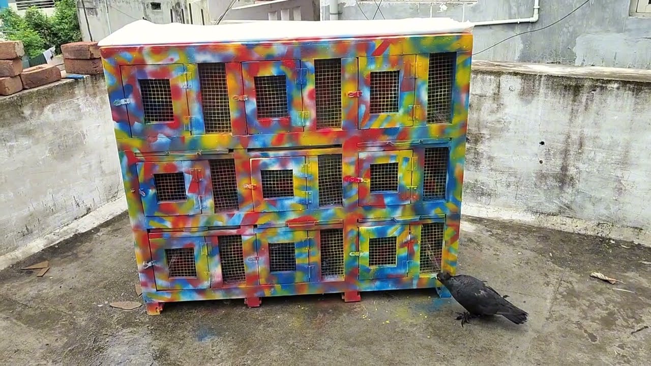 New Loft completed || Pigeons update|| @Harsha pet vlogger #pigeonloft #pigeon