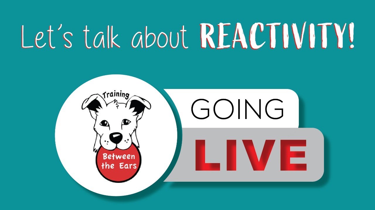 More Reactivity Q&As - You ask, we answer!