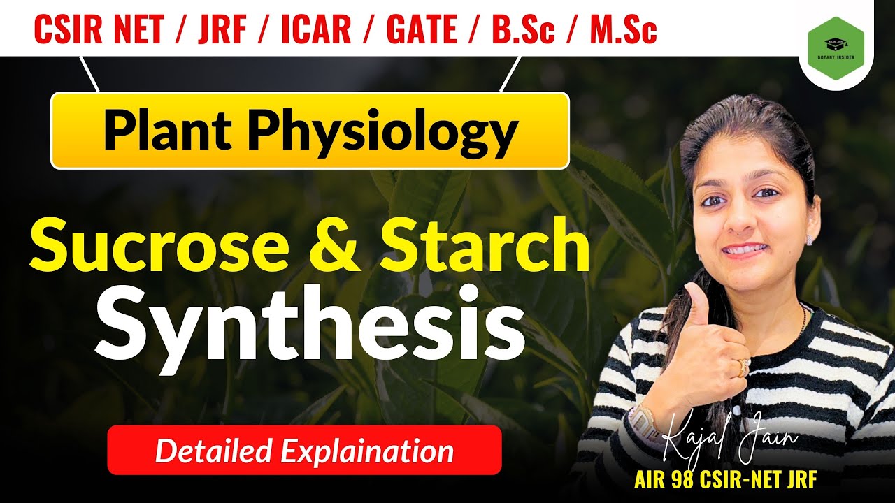 Starch and Sucrose Synthesis| Plant Physiology | CSIR-NET JRFII