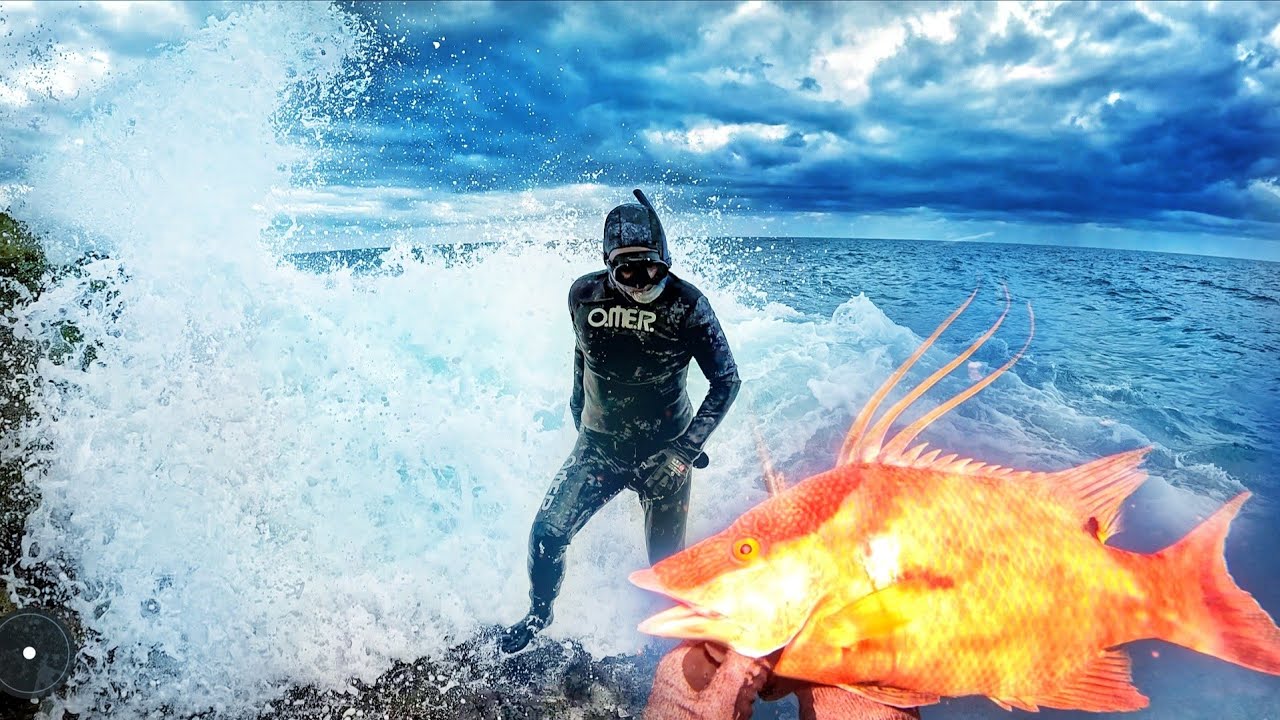 PESCA SUBMARINA EN CUBA EN INVIERNO 🌊❄️ | Mar Sucio,Condiciones Extremas Pero Hay Que Buscar Comida