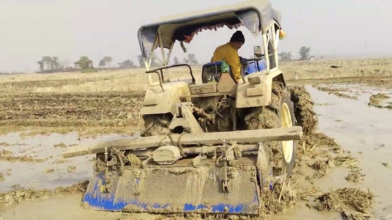 Swaraj 744FE মাঠের চাষ দেয়া হচ্ছে ধান লাগানো হবে#video #youtube 