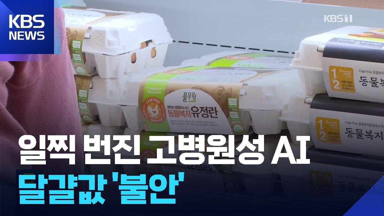 계란값 겨우 안정세인데 고병원성 조류인플루엔자 계절로 / KBS  2025.11.29.