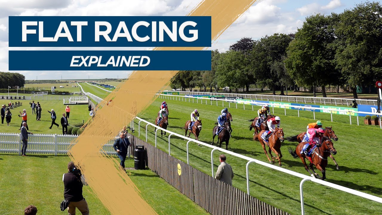 Flat Racing: Explained