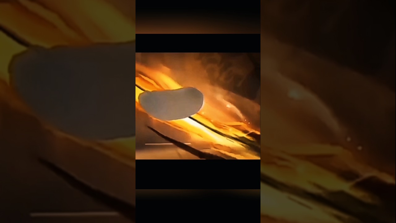 le ninja dragon ninja dragon mon 69eme edit 