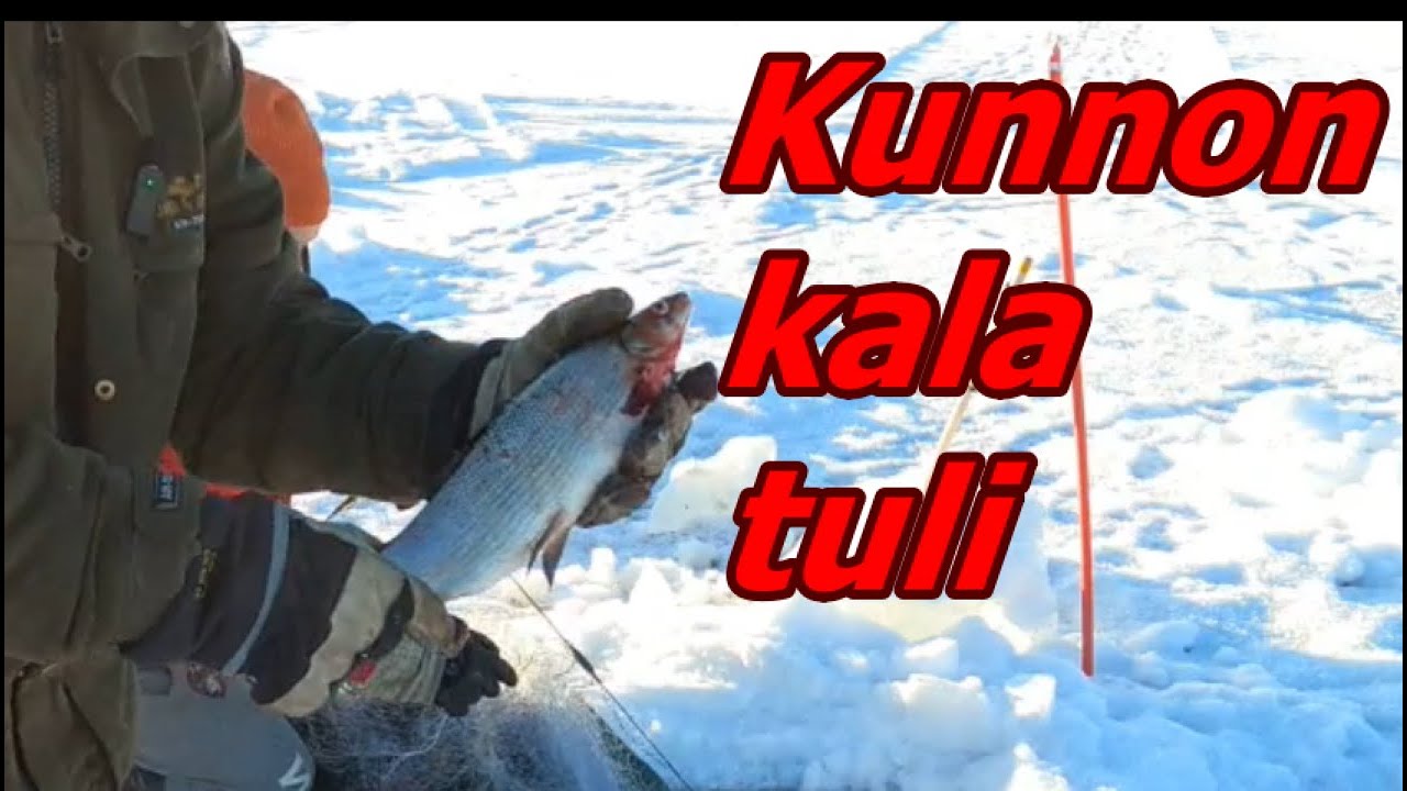 VERKKO VAIHTUI KORKEAMPAAN