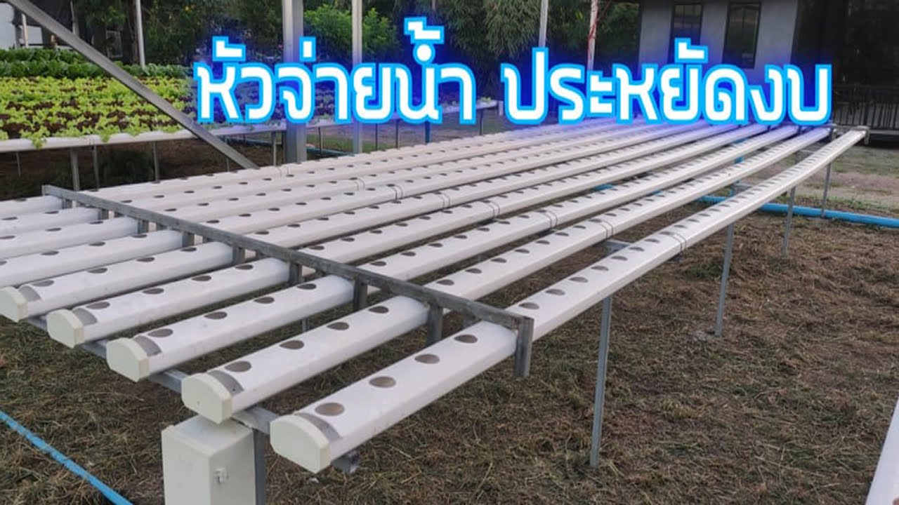 แนวทางการทำหัวจ่ายน้ำเข้ารางปลูกผัก ด้วยตัวเอง แบบประหยัดงบ