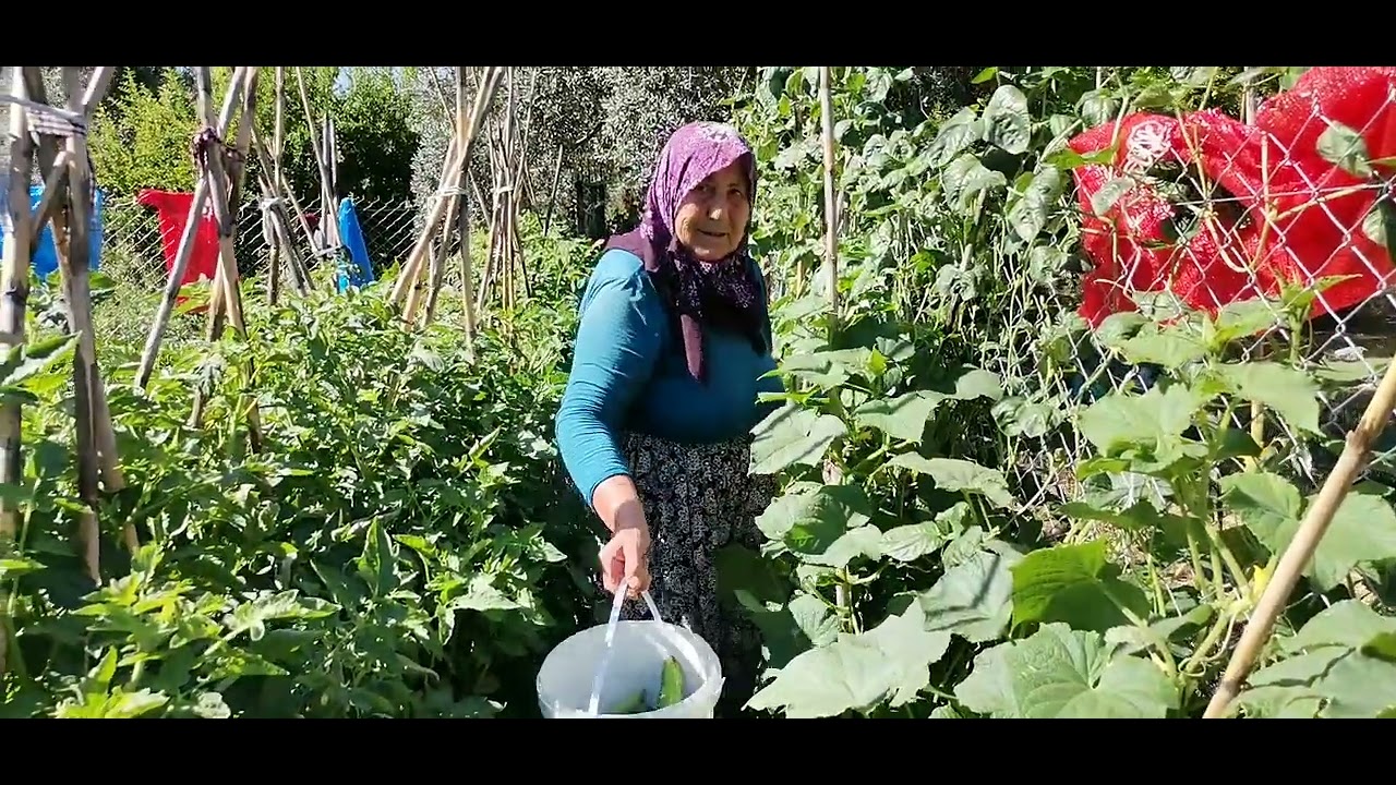 1 Ağustos 2025