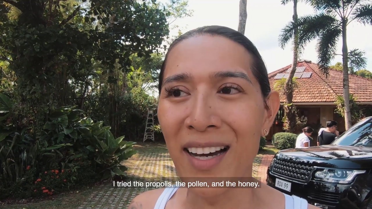 King Tower Farm stingless bee | My 1ST Honey harvest! (2019)