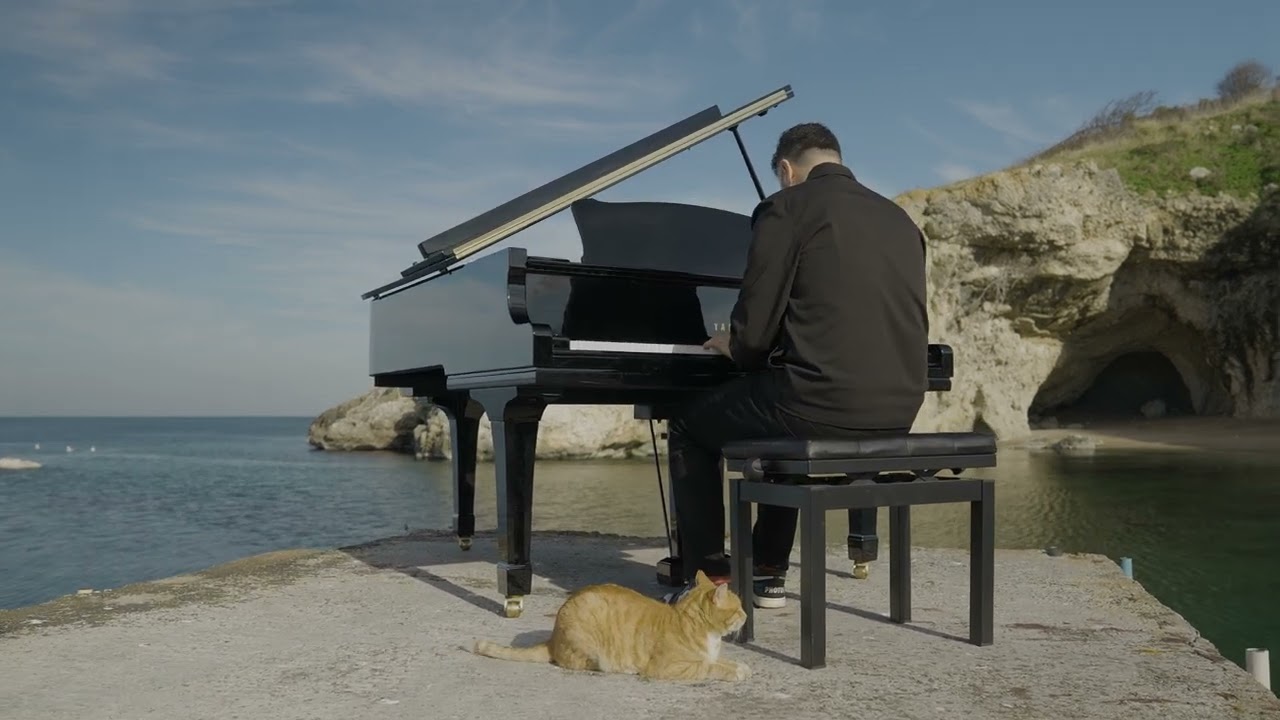 Sarper Duman - Field Of Hope
