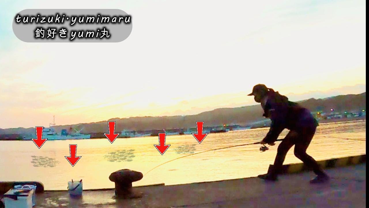 大きな群れが目の前に…！沸き立つ海面に驚く…止まらない食い気がスゴすぎた...！＃釣り#外房釣り