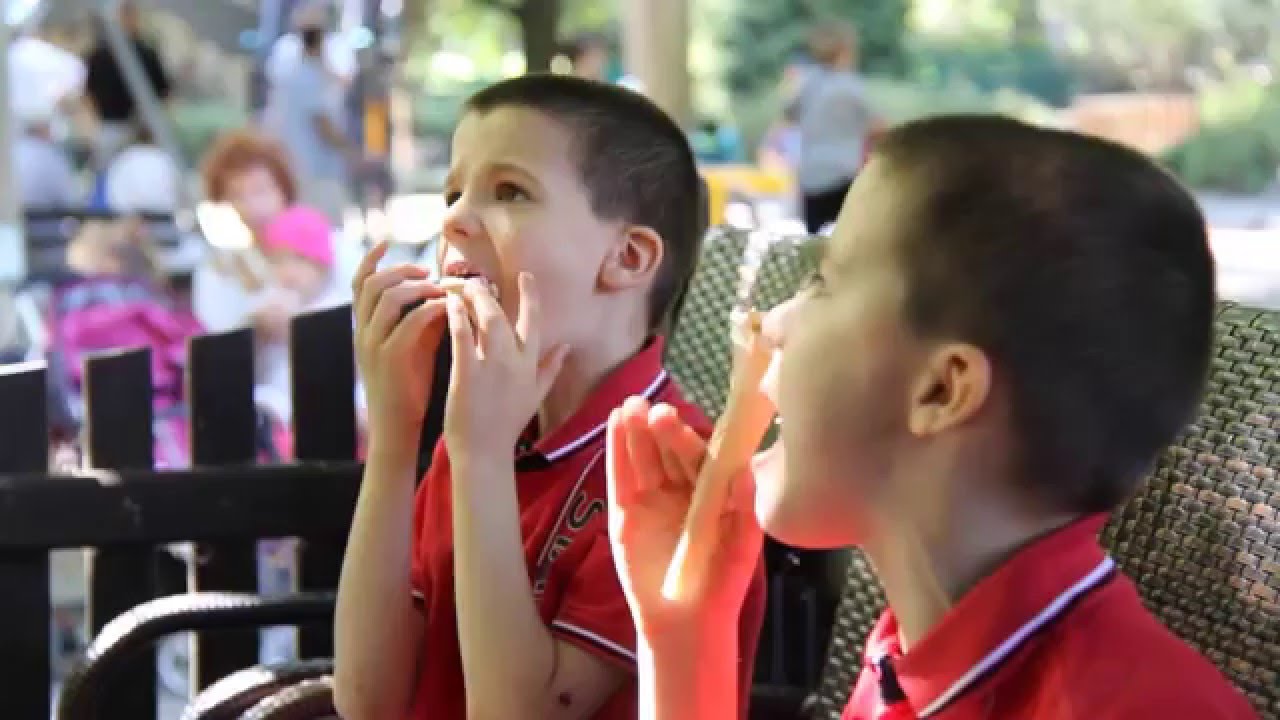 Bliźniaczy Autyzm: The Story of Autistic Twins