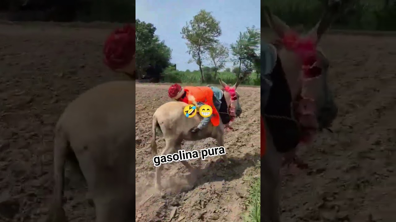 сгоревший дым 😁😂