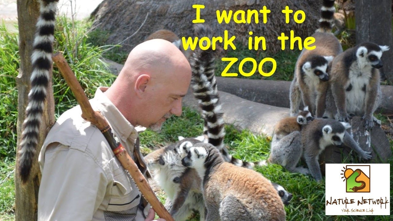 How to work at a Zoo