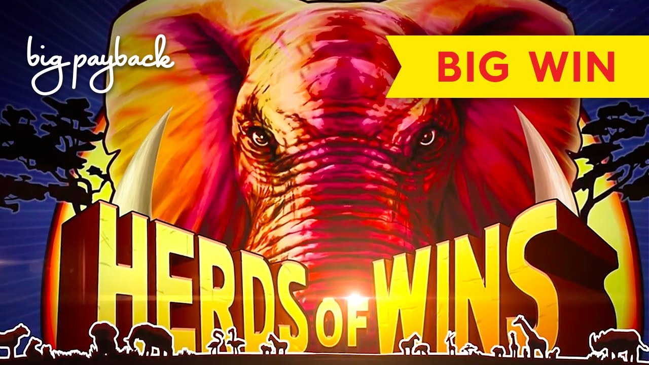 Herds of Wins Slot - THE TOP AWARD, ALMOST!
