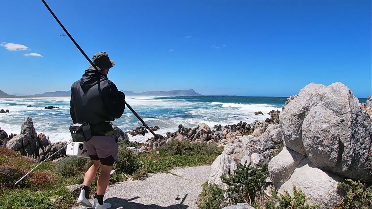 N  Lekker paar braai visse!