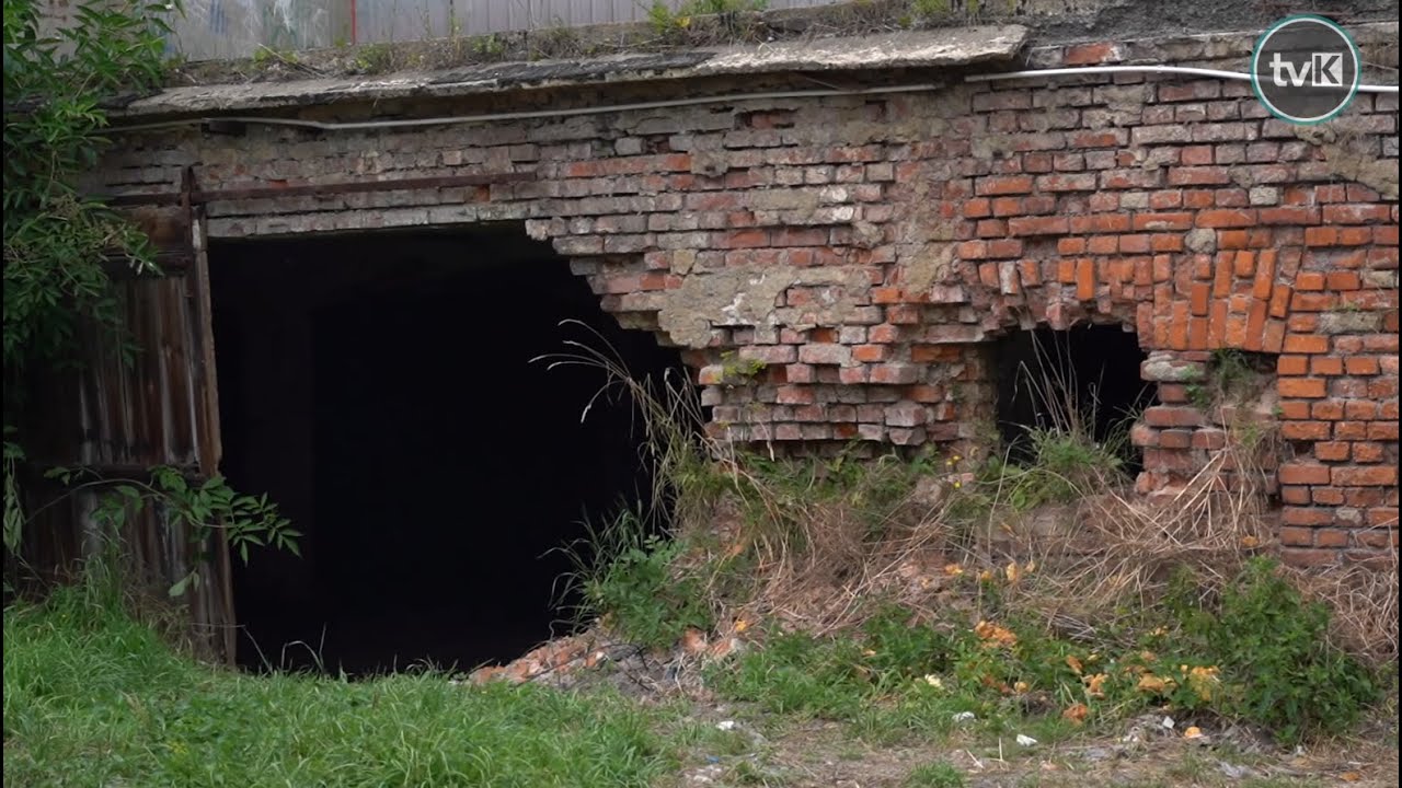Odkryto schron w Ścinawce Średniej