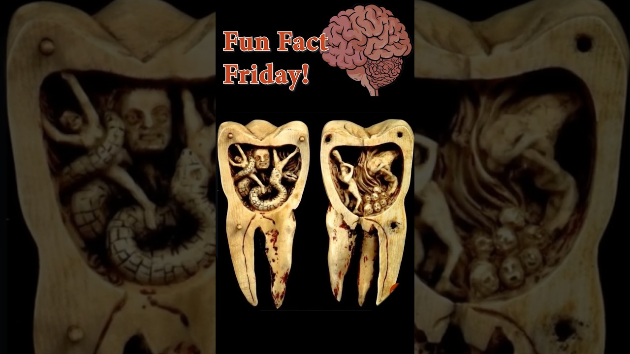 The Real Reason Dental Pain Is So Intense | Trigeminal Nerve Explained #oralsurgery #science #facts